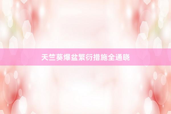 天竺葵爆盆繁衍措施全通晓