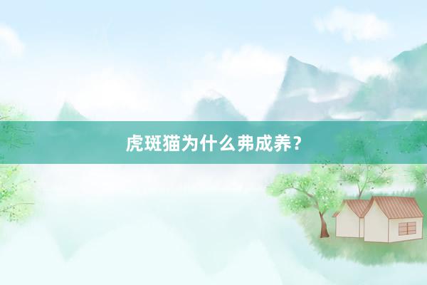 虎斑猫为什么弗成养？