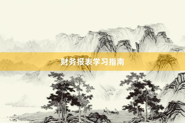 财务报表学习指南