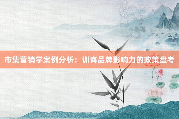 市集营销学案例分析：训诲品牌影响力的政策盘考